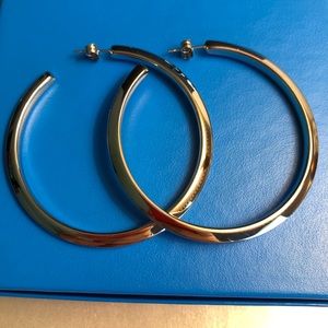 Stainless steel hoop earrings. Very lightweight